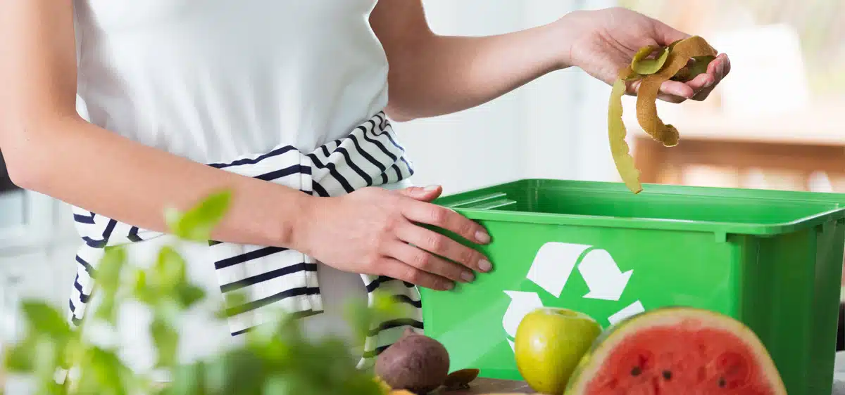 Les astuces pour une maison plus écologique au quotidien