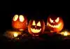 jack o lantern on brown dried leaves