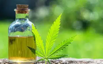 À quel moment de la journée est-il préférable de prendre du CBD ?