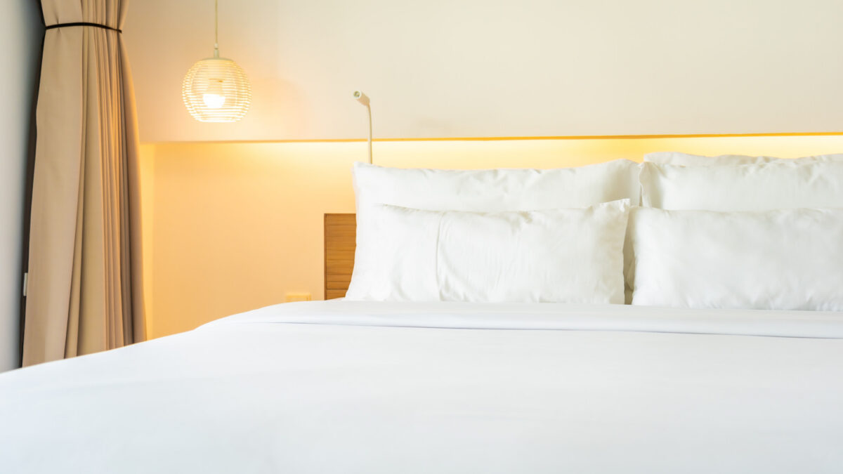 Punaises de lit à Rennes : comment agir vite et bien face à une infestation ?