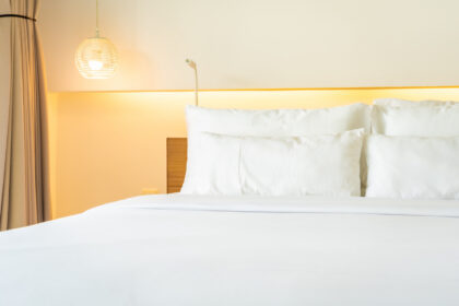 Punaises de lit à Rennes : comment agir vite et bien face à une infestation ?